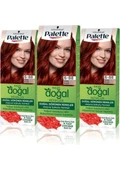 Palette Doğal Renkler Saç Boyası 6-88 Ateş Kızılı X 3 Adet thumbnail 2