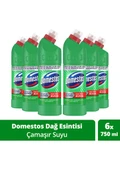 Domestos Yoğun Kıvamlı Çamaşır Suyu Dağ Esintisi Maksimum Hijyen 750 ml 6 Adet - 1