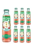 Avoya Meyveli Elma & Tarçın Maden Suyu 200 Ml x 6 Adet - 1