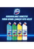 Domestos Yoğun Kıvamlı Çamaşır Suyu Dağ Esintisi Maksimum Hijyen 750 ml 6 Adet - 3