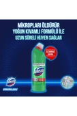 Domestos Çamaşır Suyu Dağ Esintisi 750 ml X3 Adet - 3