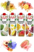 Meysu Meyve Nektarı 1 lt x 4 Adet (Guava, Ananas, Mango, Karışık Meyve) - 1