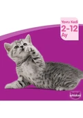 Whiskas Junior Yavru Klasik Öğünler Sığırlı Tavuklu 4X85 gr (6ADET) - 2