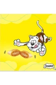 Dreamies Somonlu Kedi Ödül Maması 60 Gr 24 Adet - 2