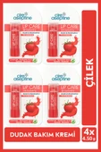 Cire Aseptine Lip Care Strawberry (Çilek) Renkli Dudak Nemlendirici 4,5 G x 4 Adet - 1