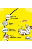 Dreamies Somonlu Kedi Ödül Maması 60 Gr 24 Adet - 3