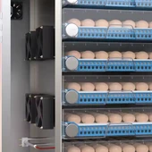 Endüstriyel 256 Yumurtalık Otomatik Kuluçka Makinesi Dijital Panel Isı Nem Ayarlı – Tavuk Ördek Civciv Hindi Yumurta thumbnail 3