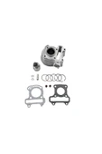 ÇELİKMOTO DELTAFORCE HONDA TODAY 50 SILINDIR (12P-37.8X59/GUMUS) #DFEN.13G01.ZF0 - 1