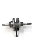 ÇELİKMOTO KRANK SPACY [BİLYALI] - RKS SPONTINI 110 GREEN SHAFT #3009972 - 1