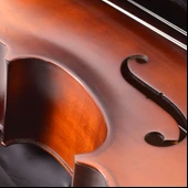 Çello (Viyolonsel) 1/4 Mat El Cilalı MC14GEM - 4