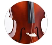 Çello (Viyolonsel) Gül 1/4 DCR14NM - 5