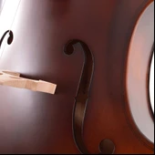 Çello (Viyolonsel) 1/4 Mat El Cilalı MC14GEM - 5