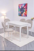 Damla Hilal MDF Mutfak Masa Sandalye Takımı 60x100cm thumbnail 10