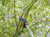 Fiskars Yüksek Dal Budama UPX86 - 3
