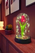 Celestia Sevgiliye Hediye Kırmızı Lale Peri Led Işıklı Aşk Fanusu Lamba Usb'li Yapay Çiçek Dekoratif Hediye thumbnail 1
