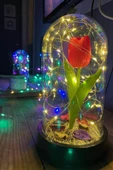 Celestia Sevgiliye Hediye Kırmızı Lale Peri Led Işıklı Aşk Fanusu Lamba Usb'li Yapay Çiçek Dekoratif Hediye thumbnail 7