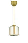 Alvina Aydınlatma Kamelya Tekli Antik/bal Çift Cam Modern Avize - 3