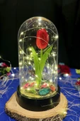 Celestia Anneler Gününe Özel Kırmızı Lale Peri Fanus Lamba Usb'li Yapay Çiçek Dekoratif Aydınlatma Hediyelik thumbnail 5
