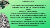 AĞRI KESİCİ,ENERJİ VERİCİ,İYİLEŞTİRİCİ,BESLEYİCİ BANT 5'Lİ - 6