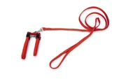 Beeztees Kedi Göğüs Tasması ve Gezdirme Kayışı, 130cm, Kırmızı - 3