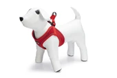 Beeztees Köpek Göğüs Tasması, Neopren, Kırmızı, XS, 30-35cm - 1