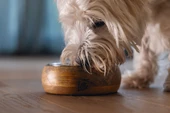 Beeztees DBL Köpek Mama Su Kabı, Dışı Masif Ahşap, Paslanmaz Çelik, 16,5cm, 650ml - 4