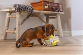 Beeztees Köpek Ödül Saklama Oyuncağı, Top, Polar, Gri/Yeşil, 13cm - 4