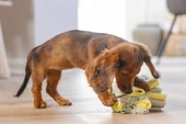 Beeztees Köpek Ödül Saklama Oyuncağı, Top, Polar, Gri/Yeşil, 13cm - 11
