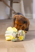 Beeztees Köpek Ödül Saklama Oyuncağı, Top, Polar, Gri/Yeşil, 13cm - 6