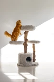 Beeztees DBL Kedi Tırmalama ve Oyun Evi, Doğal, 60x45x100cm thumbnail 3