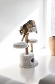Beeztees DBL Kedi Tırmalama ve Oyun Evi, Doğal, 60x45x100cm thumbnail 6