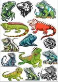 İguana Sticker Set - 1