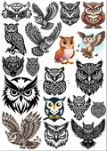 Baykuş Sticker Set - 1