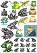 Kurbağa Sticker Set - 1