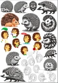 Kirpi Sticker Set - 1