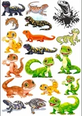İguana Sticker Set - 1
