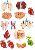 Sevimli Organlar Sticker SEt - 1