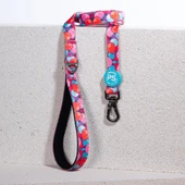 Pawstar Balloons Köpek Gezdirme Kayışı 120 cm x 2 cm - 1