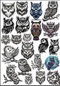 Baykuş Sticker Set - 1