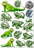 İguana Sticker Set - 1