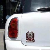 Pitbull Sticker 10x10 cmRenkli Sticker - 2