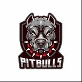 Pitbull Sticker 10x10 cmRenkli Sticker - 1