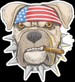 Bulldog 2 Sticker 10x10 cmRenkli Sticker - 1