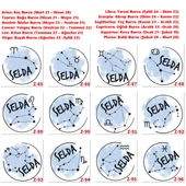 Kişiye Özel Burç Temalı Mutfak Önlükleri, Hediyelik Mutfak Önlüğü Z2 Serisi - 5