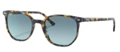 Ray-Ban Elliot 2197 13563M Yellow Havana-Blue Güneş Gözlüğü - 1