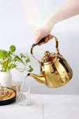 Vicalina 3 Litre Paslanmaz Çelik Demlik İthal Alman Kalitesi Gold VL-TJ04 - 2