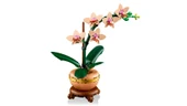 LEGO Botanicals Mini Orkide 10343 - 18+ Çiçek Model Yapım Seti (274 Parça) - 8