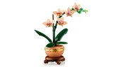 LEGO Botanicals Mini Orkide 10343 - 18+ Çiçek Model Yapım Seti (274 Parça) - 5