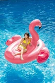 Intex Flamingo Binici - Tutmaçlı Ada 178x135 cm - 2