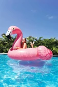 Intex Flamingo Binici - Tutmaçlı Ada 178x135 cm - 3